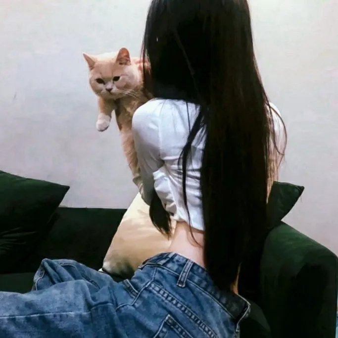 刺客子弹